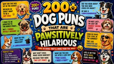 Colorful dog puns poster featuring cute cartoon dogs, paw prints, and funny canine-themed jokes.