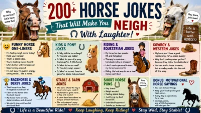 200+ horse jokes poster with laughing horses, pony cartoons, riding humor, and colorful Western-themed illustrations.